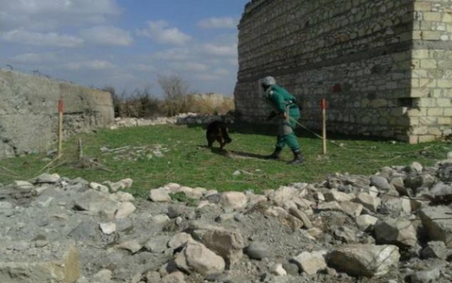 Cocuq Mərcanlıda 1023 ədəd qəlpə aşkarlanıb