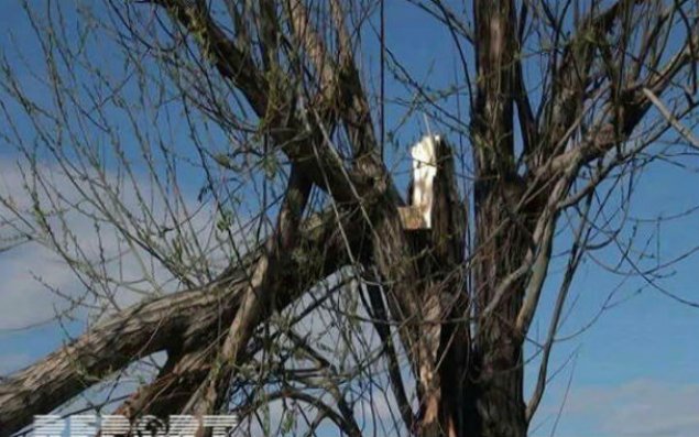 Güclü külək və leysan Lerikdə fəsadlar törətdi
