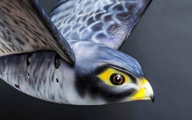 Robot-quşlar aeroportda növbətçi olacaq