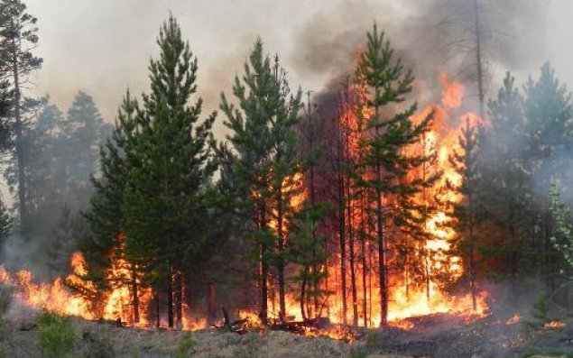Rusiyada meşə yanğınları tüğyan edir