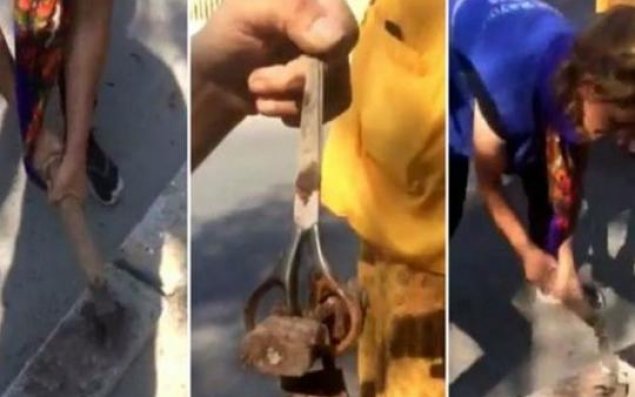 Azərbaycanlı müğənninin evindən cadu tapıldı 