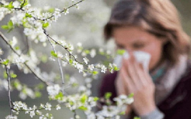 Yaz allergiyası necə əmələ gəlir?