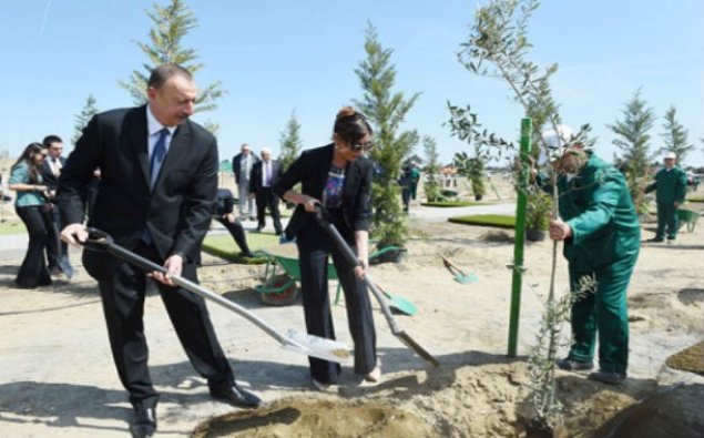 Prezident İlham Əliyev ağacəkmə aksiyasında iştirak edib