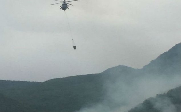 Altıağac Milli Parkında yanğının söndürülməsi davam etdirilir – FOTO