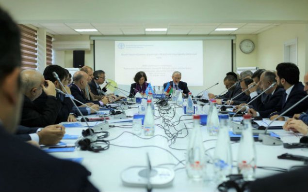 Azərbaycanda balıq məhsullarının istehsalı kəskin azalıb