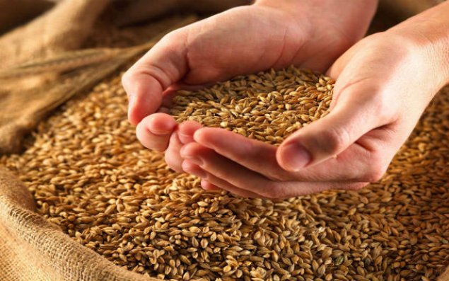 Ölkə üzrə istehsal olunan dənli bitkilərin statistikası açıqlanıb