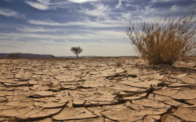 Son illər baş verən havadakı temperatur artımı quraqlığa səbəb ola bilər