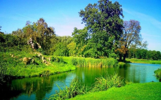Dünyada bir milyonadək bitki və heyvan növünün kökü kəsilmək üzrədir