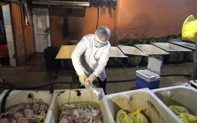 Bakıda qanunsuz quş əti emalı müəssisəsi aşkarlandı