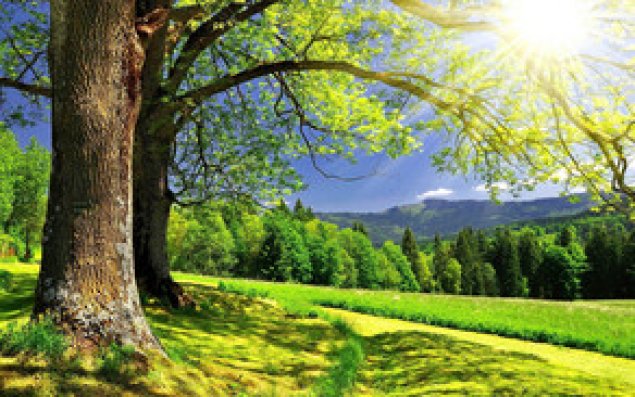Sabah havanın temperaturu 19 dərəcəyədək yüksələcək