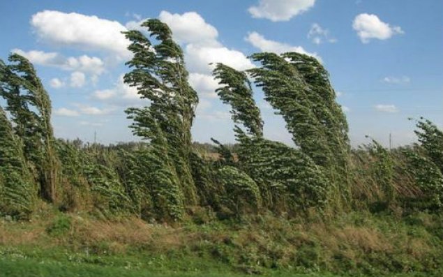 Hava şəraiti dəyişəcək, temperatur 5-8 dərəcə aşağı enəcək - XƏBƏRDARLIQ