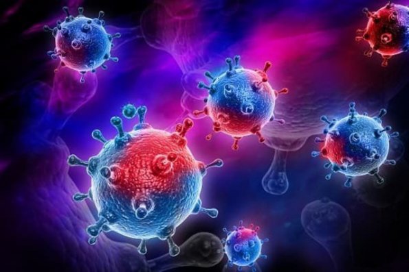 Koronavirus pandemiyasının pik nöqtəsinin tarixi müəyyənləşdi 