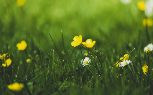 Bakıda temperatur iqlim normasından yuxarı olub 
