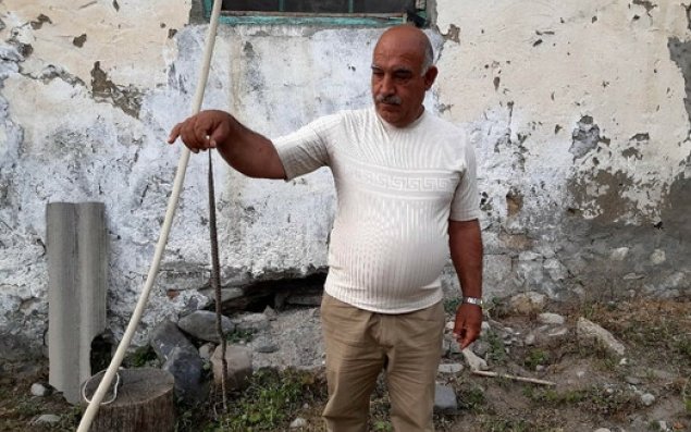 Qaxda məcburi köçkünlərin evlərini zəhərli ilanlar basıb - FOTO