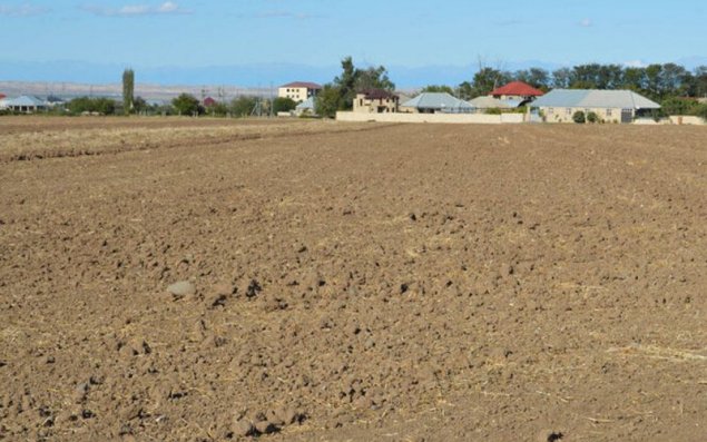 Bakıda adam başına düşən torpaq sahəsi azalır   — Qiymətlər bahalaşır