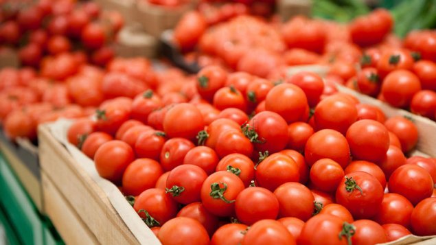 Pomidorun qiyməti nə üçün kəskin bahalaşıb? (VİDEO)