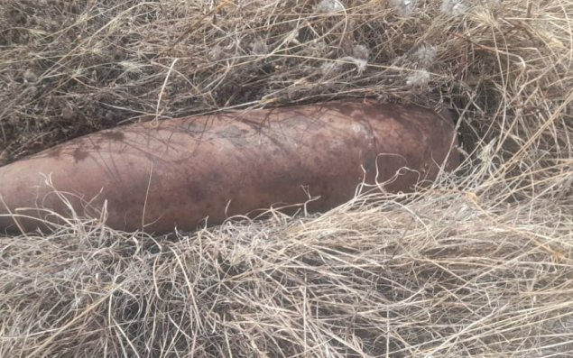 Laçında top mərmiləri tapıldı - FOTO