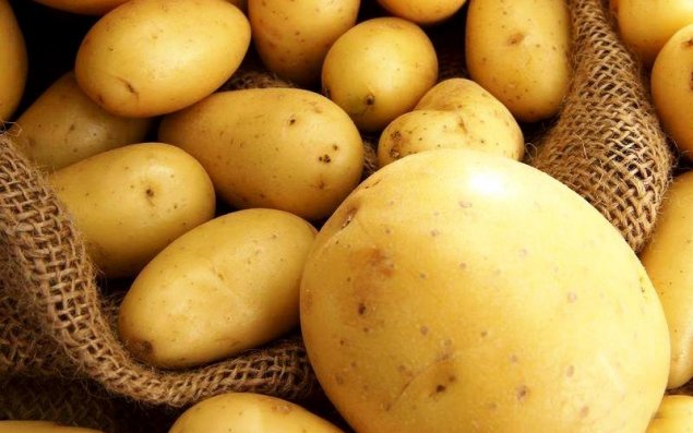 Rusiyadan Azərbaycana gətirilən kartofda zərərverici aşkarlanıb