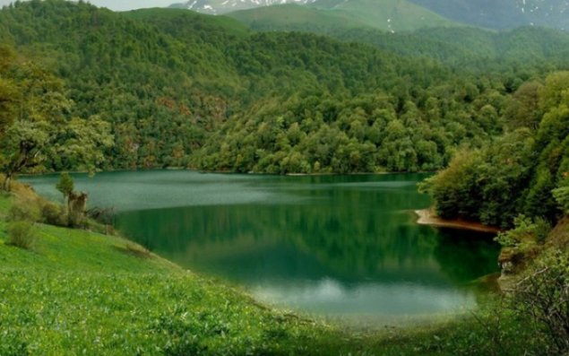 Azərbaycanda yeni milli parklar yaradılacaq