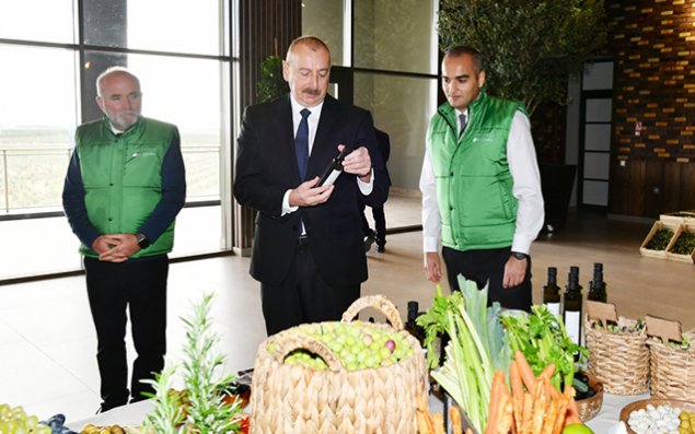 Prezident Zirədə zavod açılışında - FOTOLAR