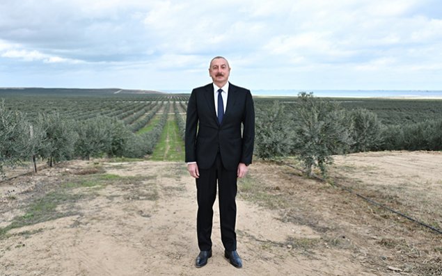 “Burada tarix boyu heç nə bitmirdi” - VİDEO