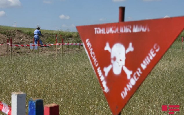 Azad olunmuş ərazilərdə daha 119 mina aşkarlanıb