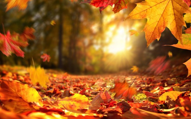 Sabah hava necə olacaq?