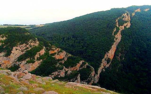 Topxana meşəsinin bərpasına başlandı