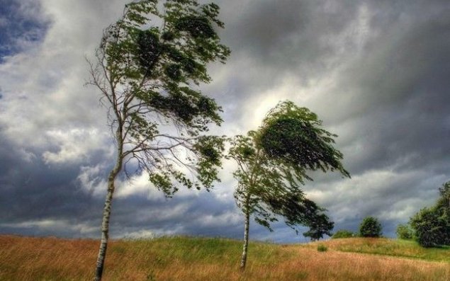 Güclü külək əsəcək - XƏBƏRDARLIQ