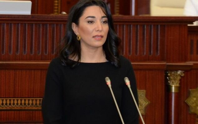 Növbəti iclasda Səbinə Əliyeva da olacaq