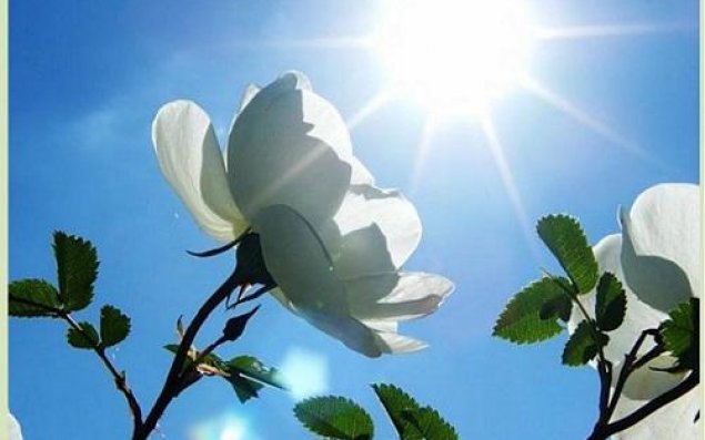 Sabah 28 dərəcə isti olacaq