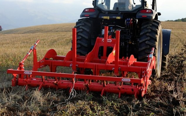 İsrail Azərbaycanda meyvə bağları yaradır