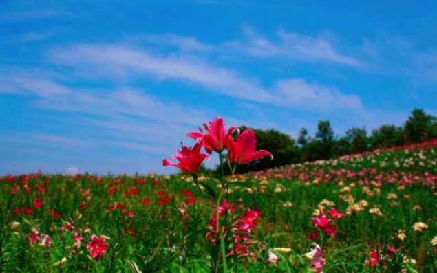 May ayına olan hava proqnozu AÇIQLANDI