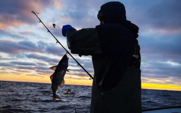 Bu gündən Azərbaycanda balıq ovu qadağan edildi