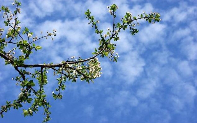 Ölkə ərazisində yüksək temperatur qeydə alınır