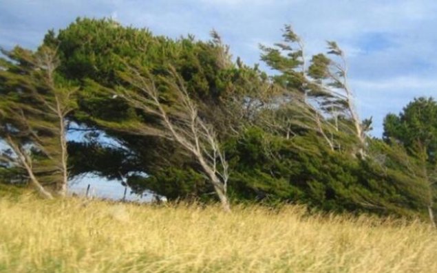 Güclü külək nə vaxta kimi davam edəcək?