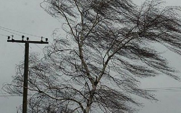 İki nazirlik güclü küləklə bağlı əhaliyə xəbərdarlıq etdi