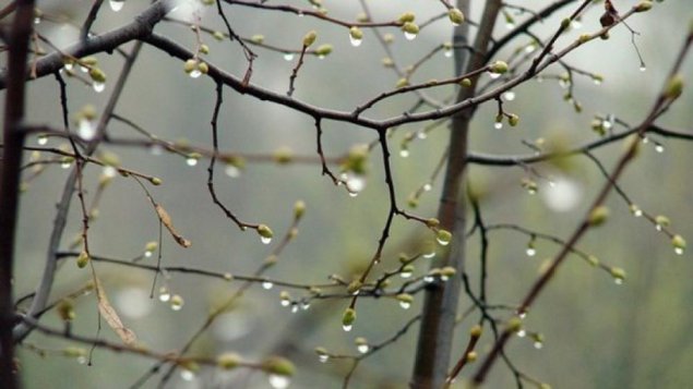 Faktiki hava açıqlandı