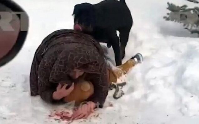 Ananın uşağını itdən bu cür qoruması gündəm oldu - Video