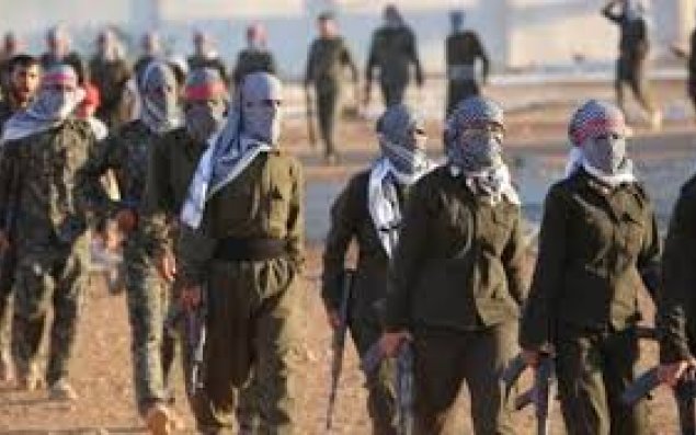 Son həftədə daha 14 terrorçu zərərsizləşdirildi