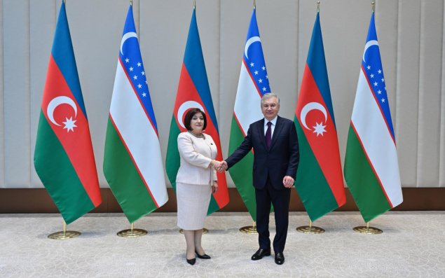 Sahibə Qafarova Özbəkistan Prezidenti Şavkat Mirziyoyevlə görüşüb