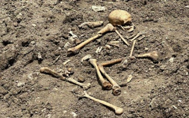Qubadlıda sümük qalıqları aşkarlanıb  