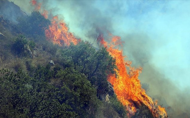 İqlim dəyişikliyi meşə yanğınlarının intensivliyini artırıb