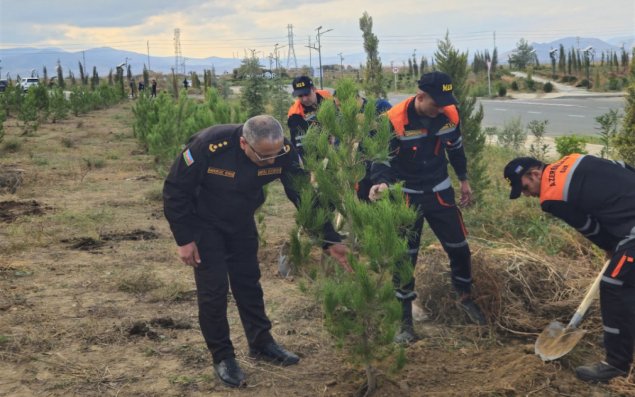 FHN Ağdamda ağacəkmə aksiyası keçirib