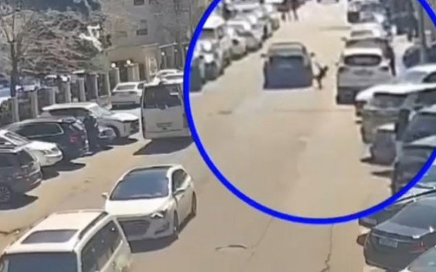 DYP “Piyadalar, diqqətli olun!” adlı təhlükəsizlik həftəliyi keçirir - VİDEO