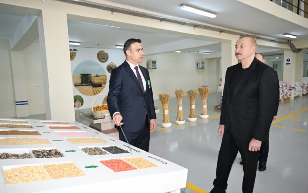 Prezident Sabirabad Sənaye Məhəlləsində toxum istehsalı müəssisəsinin fəaliyyəti ilə tanış olub