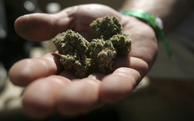 Bu il 185 milyon manatlıq narkotik dövriyyədən çıxarılıb