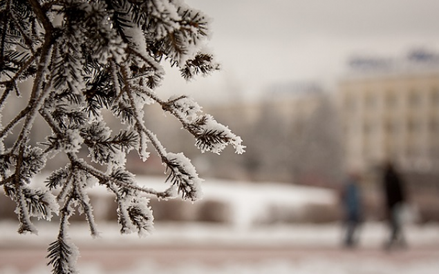 Bakıda 3 dərəcə şaxta olacaq - XƏBƏRDARLIQ