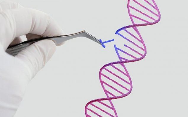 İnsanın klonu patent obyekt kimi qəbul edilməyəcək