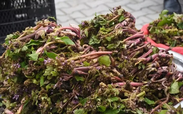 Müharibəyə gedən əsgərlər istifadə edirmiş - Faydası say-say bitmir